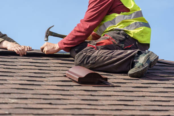 Best Roof Gutter Cleaning  in Baldwin City, KS