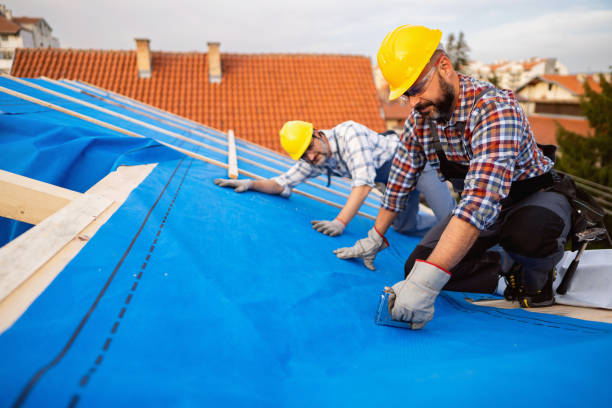 Best Roof Leak Repair  in Baldwin City, KS