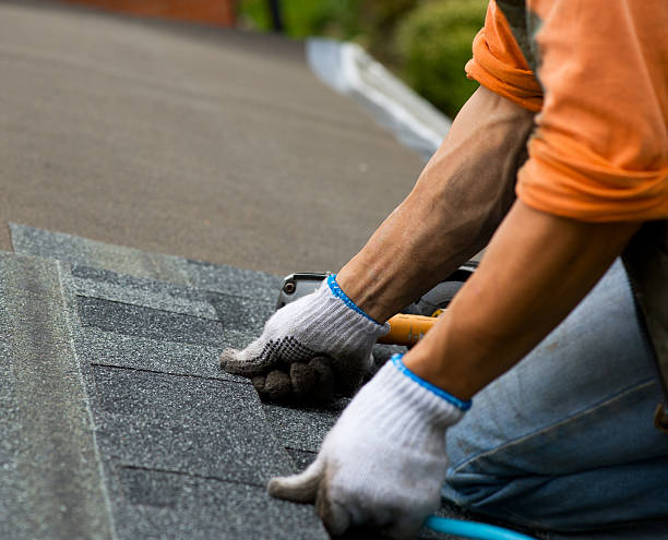Best Roofing Contractor Near Me  in Baldwin City, KS